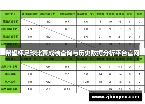 希望杯足球比赛成绩查询与历史数据分析平台官网